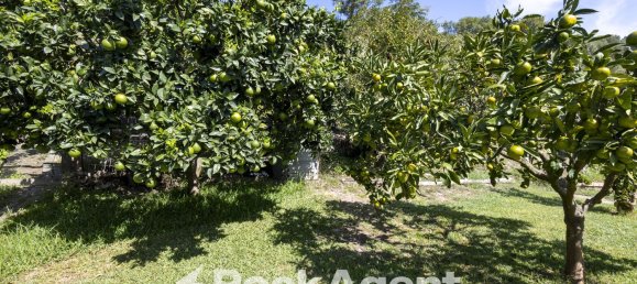 5 rooms Villa in Caraffa di Catanzaro, Italy No. 180167 34