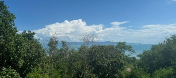 Terreno en Surat Thani, Thailand No. 24600 8