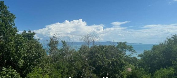  Commercial property in Surat Thani, Thailand No. 24600 4