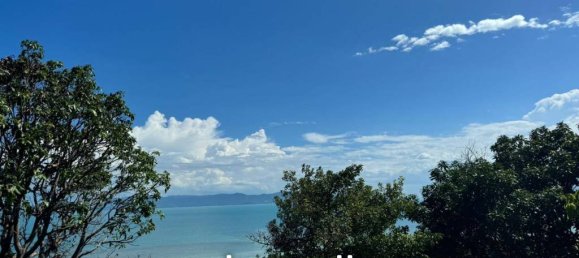  Commercial property in Surat Thani, Thailand No. 24600 6