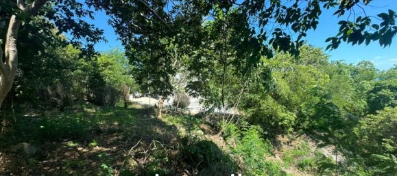  Commercial property in Surat Thani, Thailand No. 24600 3