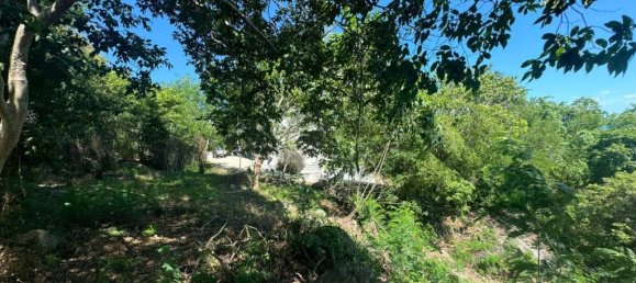 Terreno en Surat Thani, Thailand No. 24600 9