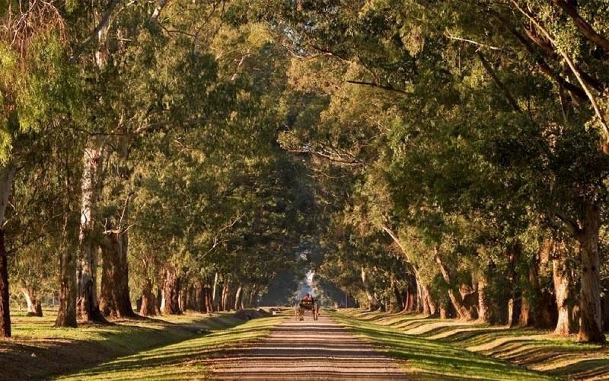 Grundstück in Ezeiza, Argentina, Nr. 120471