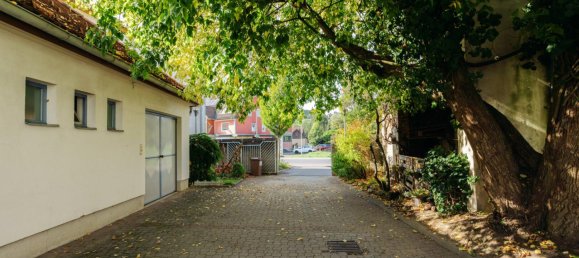 831m² Building in Gnas, Austria No. 64954 16