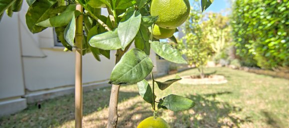 3 غرف نوم فيلا في Polis, Cyprus رقم 6045 26