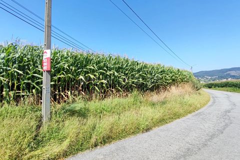  Land in Barcelos, Portugal No. 202281