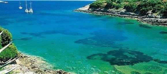 استوديو في Follonica, Italy رقم 34102 7