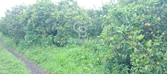 Terreno en Acireale, Italy 8050 m² No. 46300 6