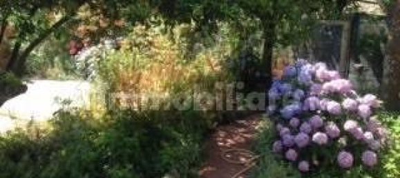 9 Schlafzimmer Villa in Procida, Italy, Nr. 317423 3