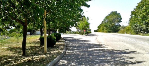 affaires à vendre à Euboea, Central Greece, Thessaly and Central Greece, Greece № 95248 7