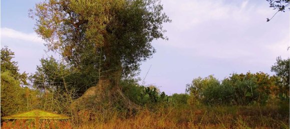 Земельный участок 8155м² в Кампоротондо Этнео, Италия № 163689 6