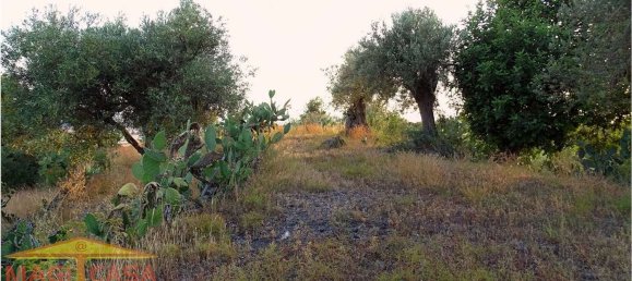 Земельный участок 8155м² в Кампоротондо Этнео, Италия № 163689 22