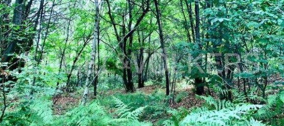 Terreno em Brovello-Carpugnino, Italy 19000 m² N.º 170577 6