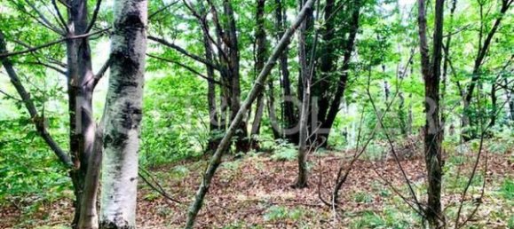 Terreno em Brovello-Carpugnino, Italy 19000 m² N.º 170577 4