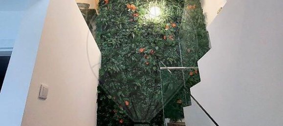 3 غرف نوم فيلا في Paredes de Coura, Portugal رقم 28620 14