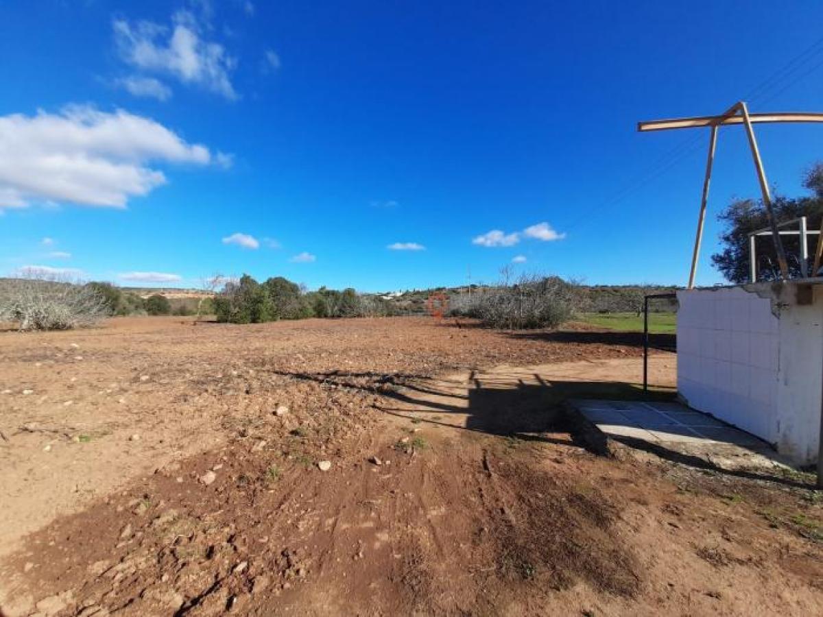 Terrain à Lagos, Portugal No. 9192