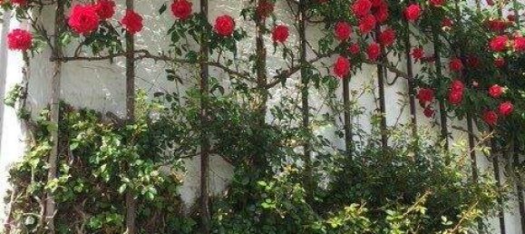 Casa de 4 divisões em Klagenfurt am Worthersee, Austria N.º 247378 37