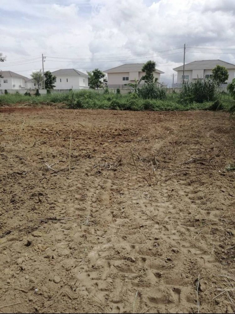 Земельный участок в Чианграй, Таиланд № 24012