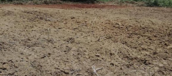 Земельный участок в Чианграй, Таиланд № 24012 2