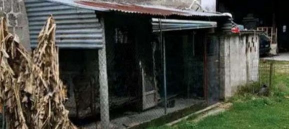 Casa de 7 dormitorios en Pordenone, Italy No. 344543 2