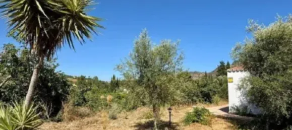 3 bedrooms House in Cartama, Spain No. 183021 49