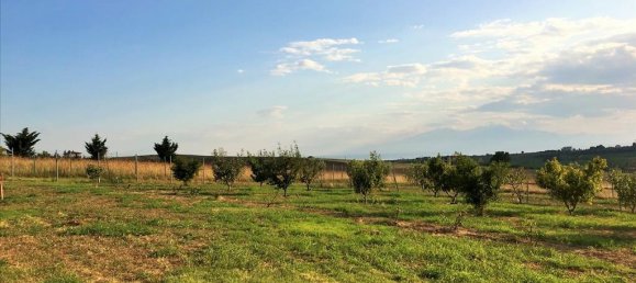 5 Schlafzimmer Gewerbliche Immobilien in Thermaic Gulf, Greece, Nr. 4697 6