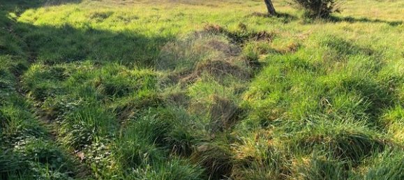 1 bedroom House in Trancoso, Portugal No. 27234 12