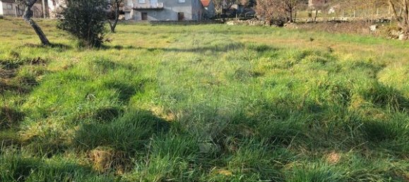 1 bedroom House in Trancoso, Portugal No. 27234 9