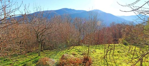 7 rooms Apartment in Mulazzo, Italy No. 178252 23