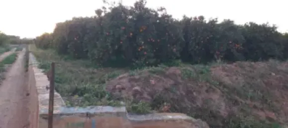  قطعة أرض في Valencia, Spain رقم 135324 3