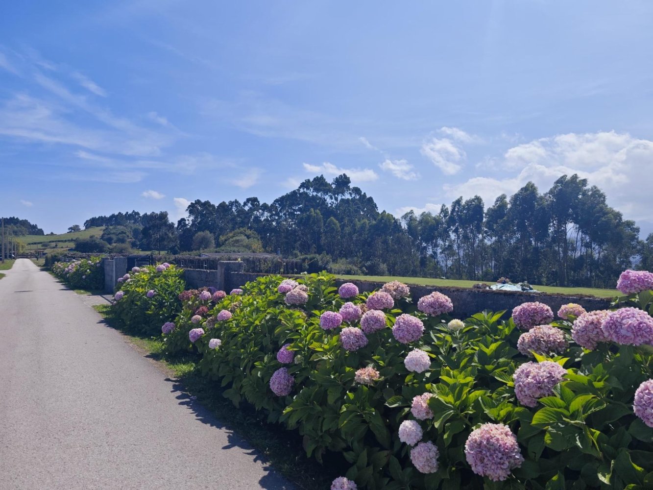  قطعة أرض في Ribadedeva, Spain رقم 247745