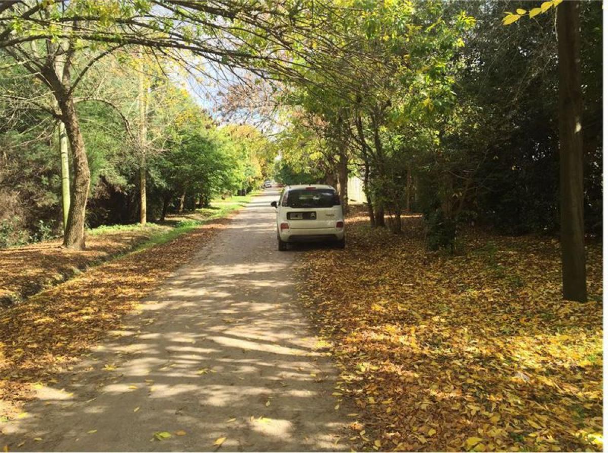 Земельный участок в Campo Creado, Аргентина № 50360