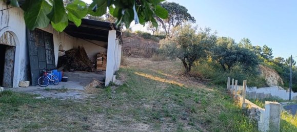 Lagerhaus in Alcanena, Portugal 256m², Nr. 69290 4