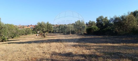 Lagerhaus in Alcanena, Portugal 256m², Nr. 69290 9