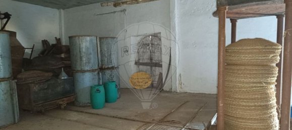 Lagerhaus in Alcanena, Portugal 256m², Nr. 69290 6