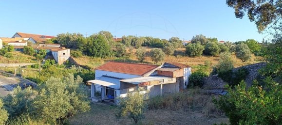 Lagerhaus in Alcanena, Portugal 256m², Nr. 69290 2