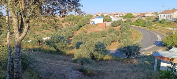 Lagerhaus in Alcanena, Portugal 256m², Nr. 69290 7