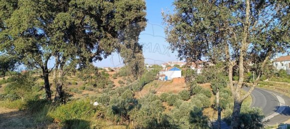 Lagerhaus in Alcanena, Portugal 256m², Nr. 69290 10