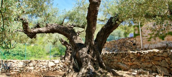 2 غرف نوم منزل في Amposta, Spain رقم 81880 16