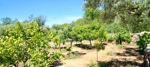 2 غرف نوم منزل في Amposta, Spain رقم 81880 17