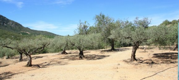 2 غرف نوم منزل في Amposta, Spain رقم 81880 19