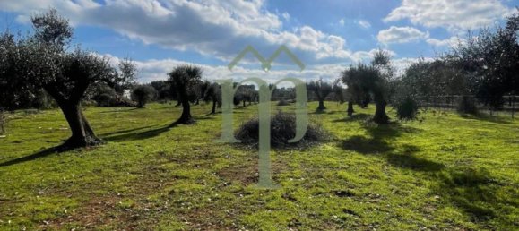 Grundstück in Carovigno, Italy 9000m², Nr. 65468 6