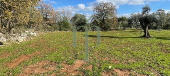 Grundstück in Carovigno, Italy 9000m², Nr. 65468 5