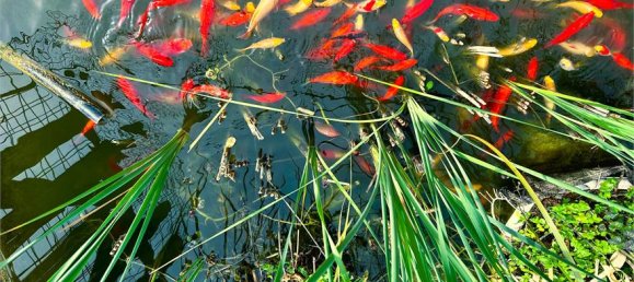 Edificio de 4 dormitorios en Sassari, Italy No. 221253 9