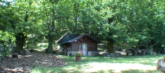 7 rooms House in Villa Collemandina, Italy No. 75654 8