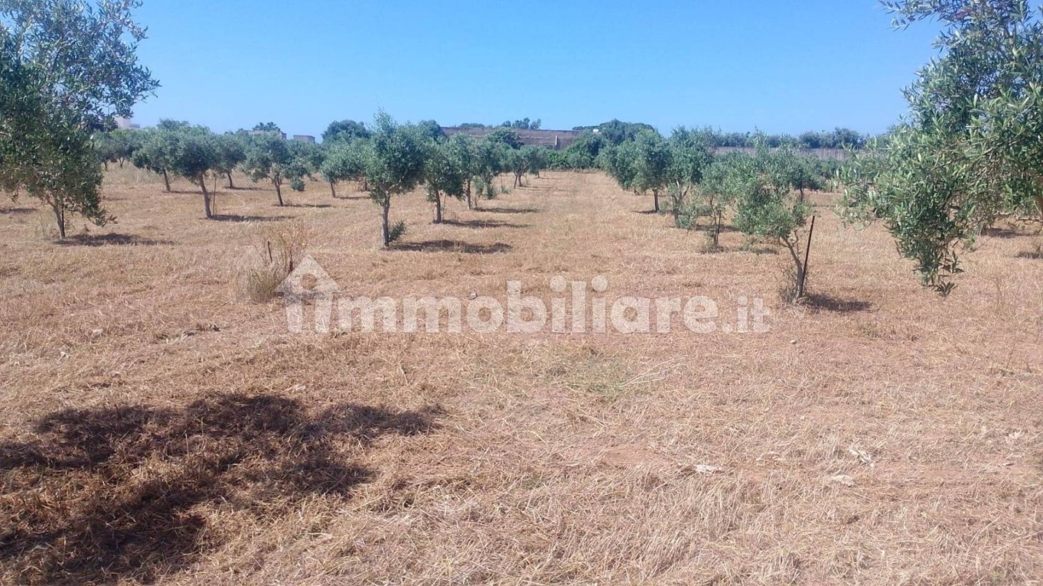 Terreno en Mazara del Vallo, Italy 4000 m² No. 348917