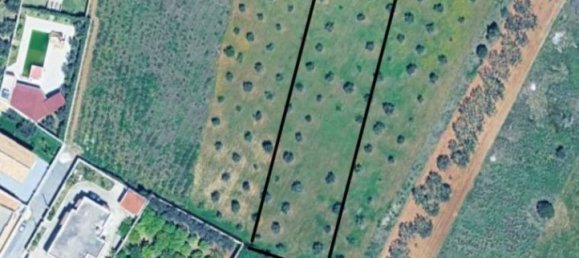 Terreno en Mazara del Vallo, Italy 4000 m² No. 348917 2