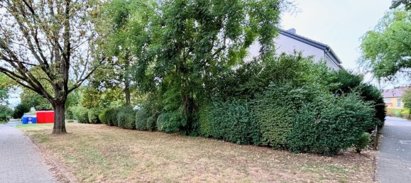 4 bedrooms Townhouse in Frankfurt am Main, Germany No. 305613 11