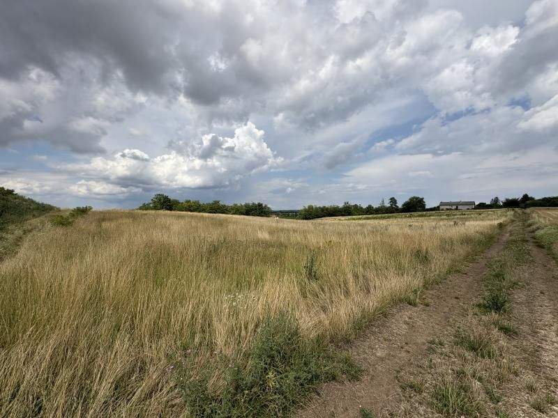  Land in Ringelsdorf-Niederabsdorf, Austria No. 210465