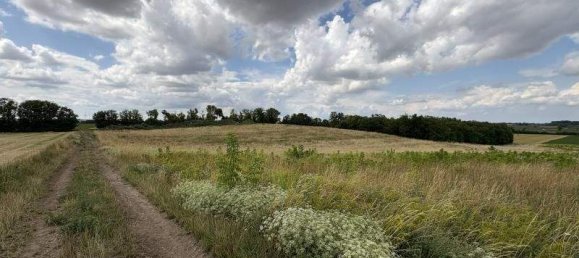  Land in Ringelsdorf-Niederabsdorf, Austria No. 210465 3